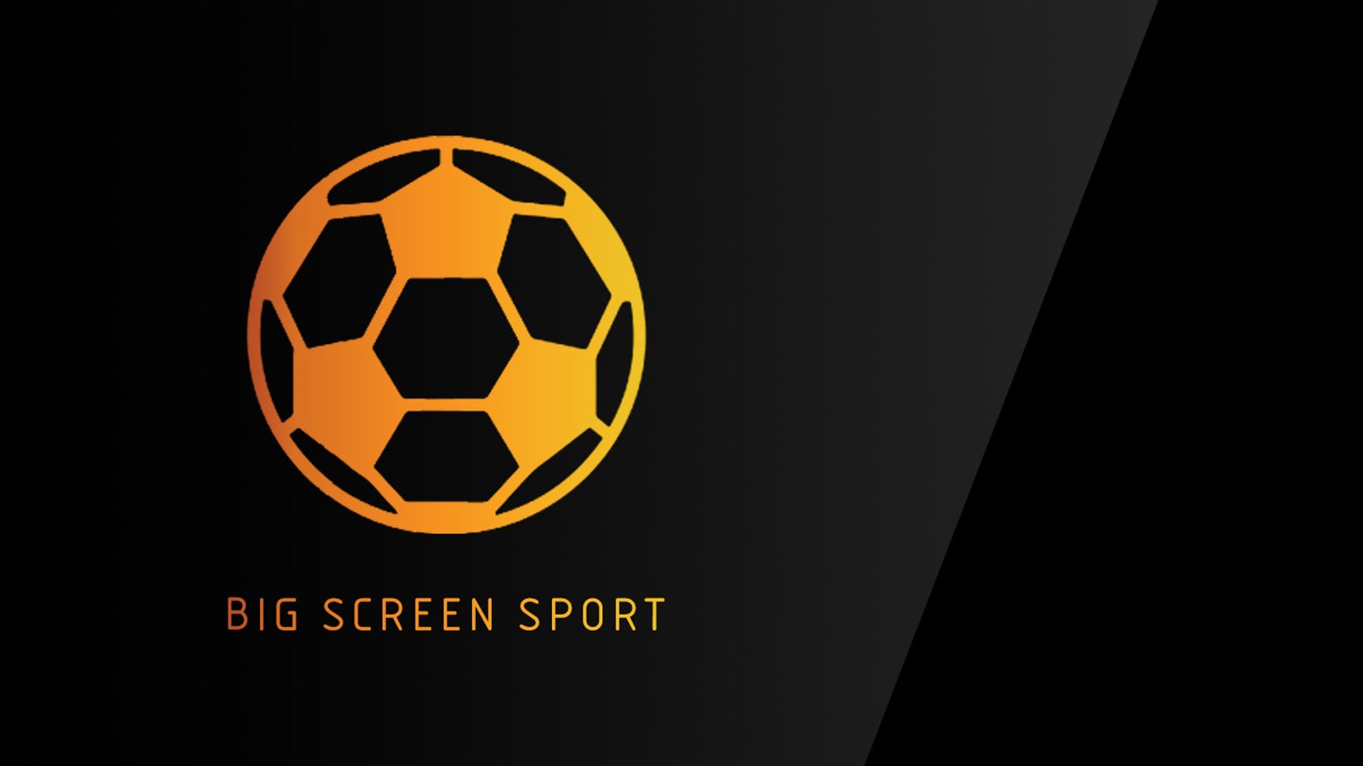 BIG SCREEN SPORTS